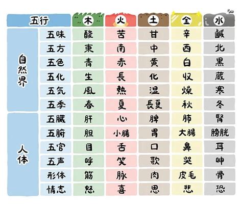 鼻 五行|五行説を覚えて健康を目指そう！ 